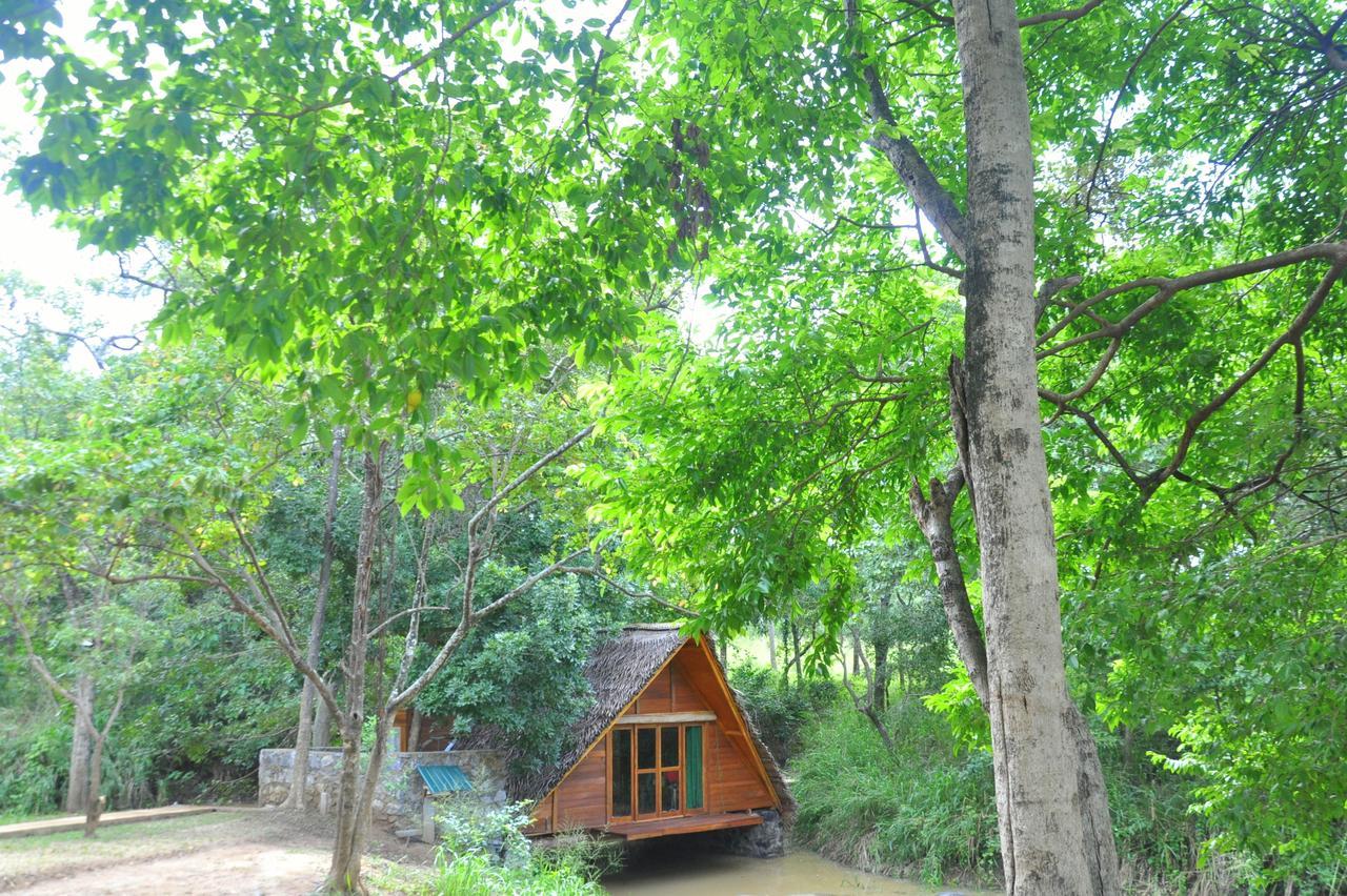 Raintree Villa Дамбула Екстериор снимка