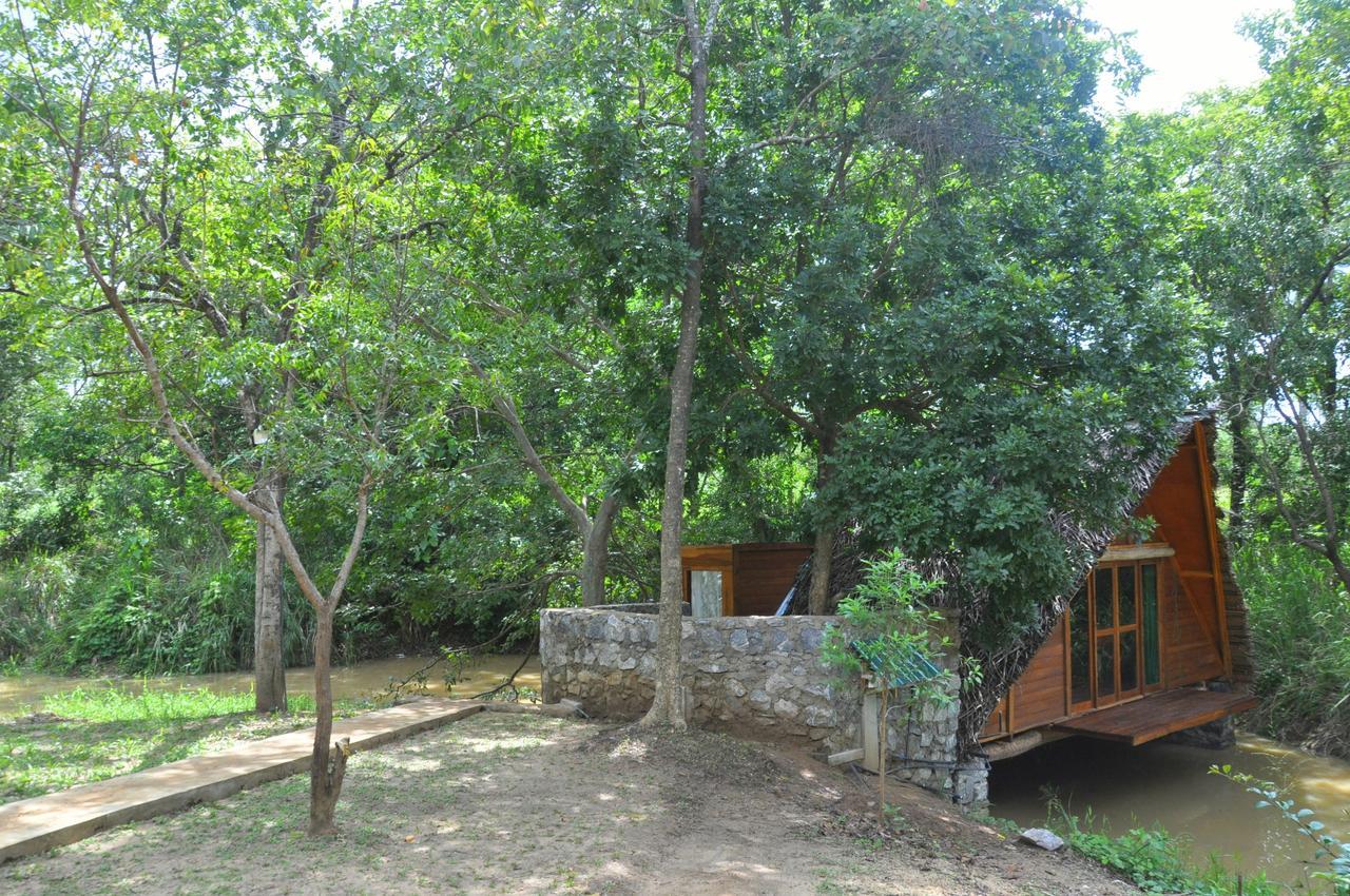 Raintree Villa Дамбула Екстериор снимка