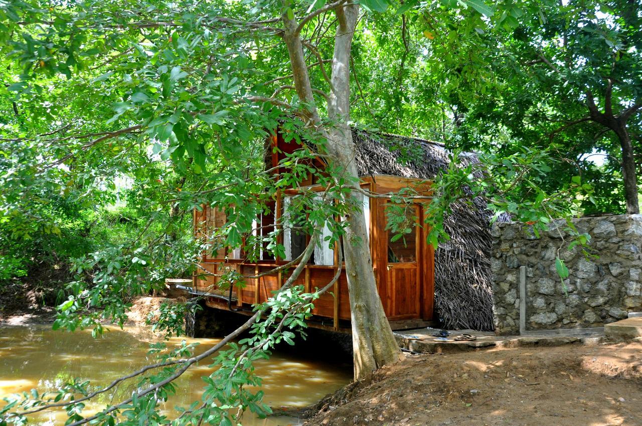 Raintree Villa Дамбула Екстериор снимка