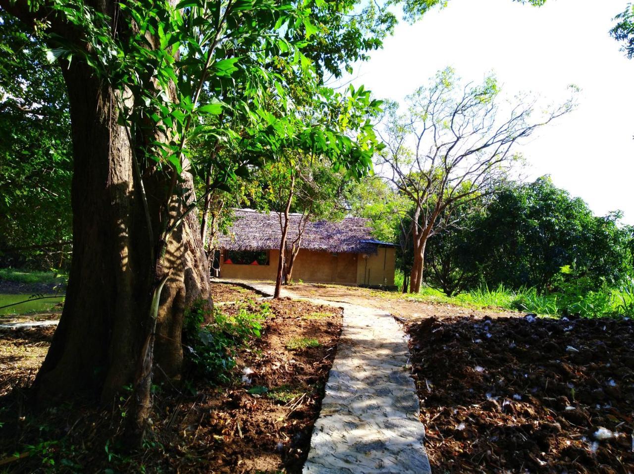 Raintree Villa Дамбула Екстериор снимка