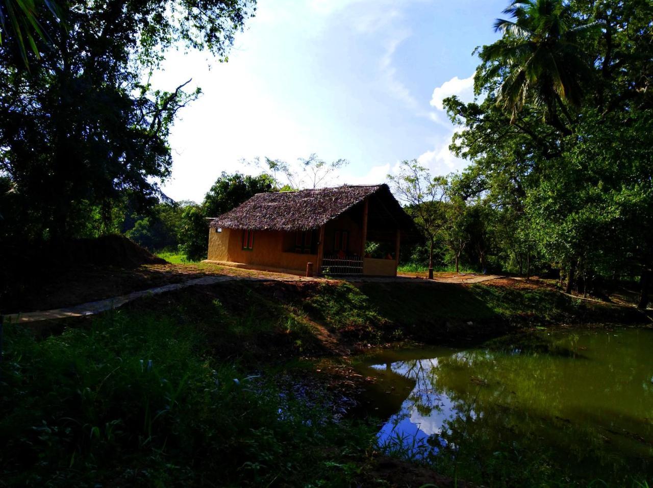 Raintree Villa Дамбула Екстериор снимка